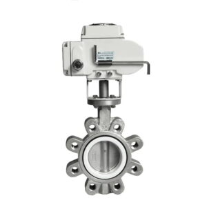 butterfly-control-valve-astm-a351-cf8m-2-20-inch-lug-end_vZAohk.jpg